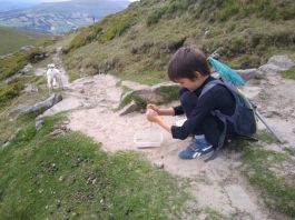 Collecting insects whilst climbing the mountain